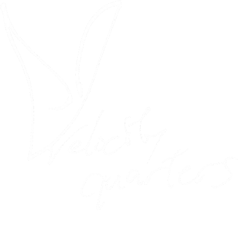 velocity quarters